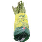 ASPERGE VERTE L 11X450G